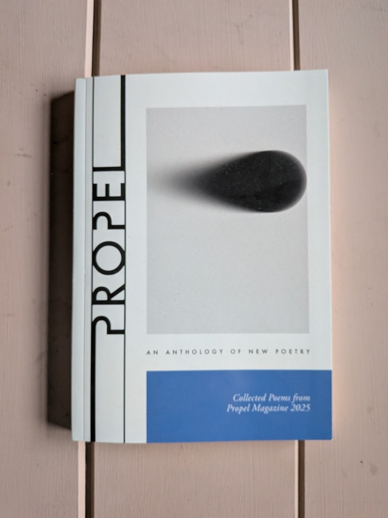 Image of a book on a pink wooden background. Text: PROPEL - AN ANTHOLOGY OF NEW POETRY. Collected poems from Propel Magazine, 2025
Image: a blurred egg shape graphic on grey.